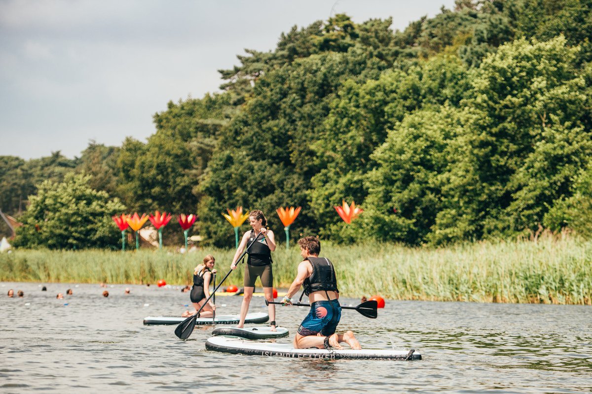 Latitude Festival tweet media