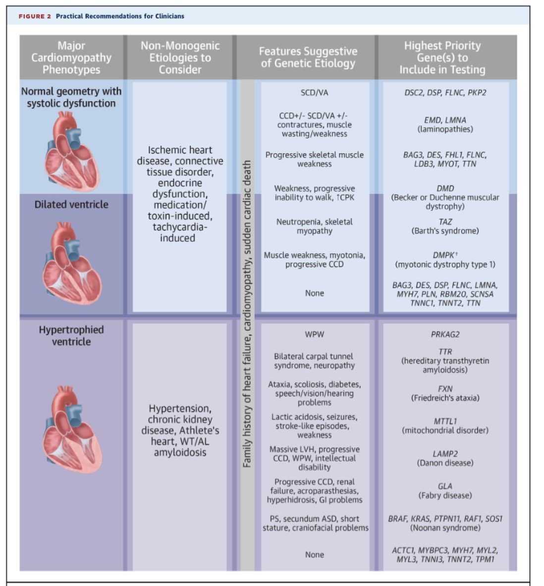 Ravi J. Shah tweet media