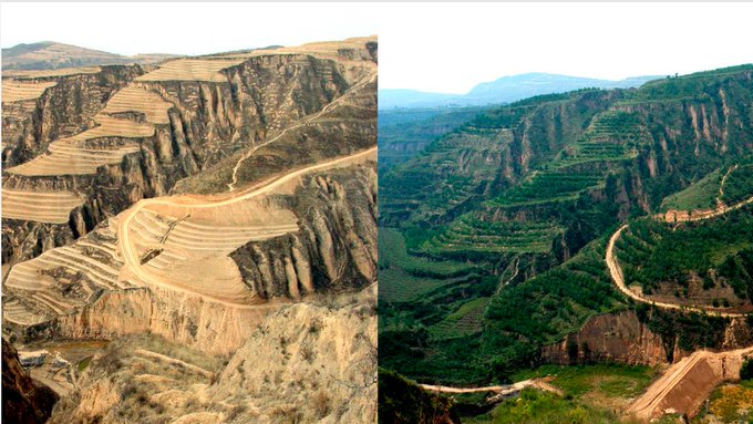 Rainmaker1973's tweet photo. In 1995, the Chinese Government received $300 million in funding from the World Bank Institute to recover the Loess Plateau, an area as big as France, from desertification. The project succeeded and lifted an estimated 2.5 million people out of poverty https://t.co/uQJgpPSuB5 https://t.co/ZG7YUehgqb