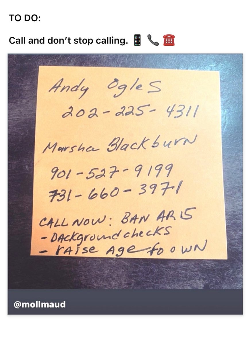 elaine_peake's tweet image. 📱 📞 ☎️                      Call and don’t stop calling. #BanAR15                            #BackgroundChecks           #RaiseAgeToOwn                  ⁦@jhollymc⁩