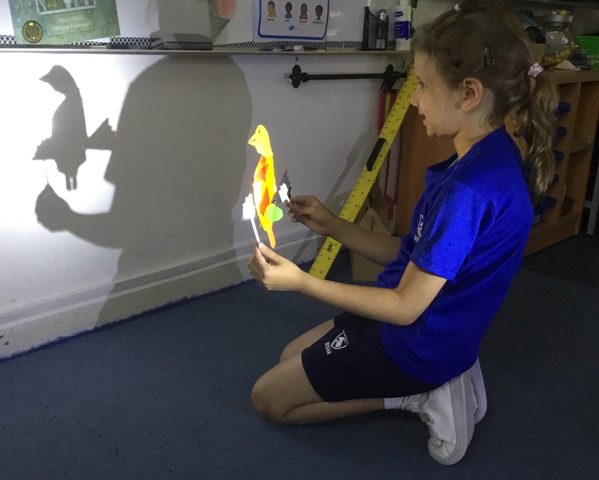 BSM Year 3 tweet media