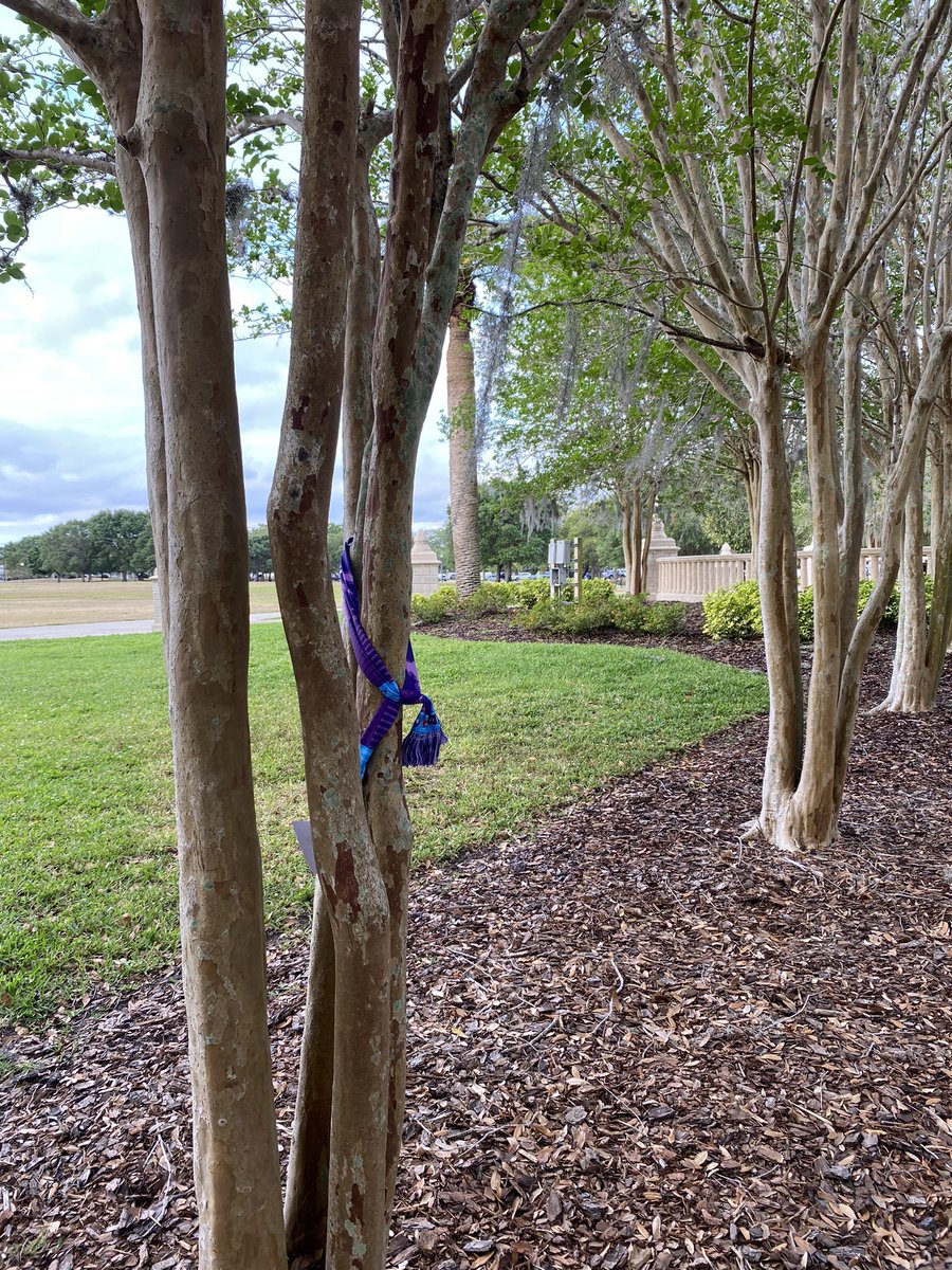 CamCaddell's tweet photo. A few scarfs out around the fountain in Blue Jacket Park! #PepsiScarftheCity @ORLPride https://t.co/As3sYqLWqA