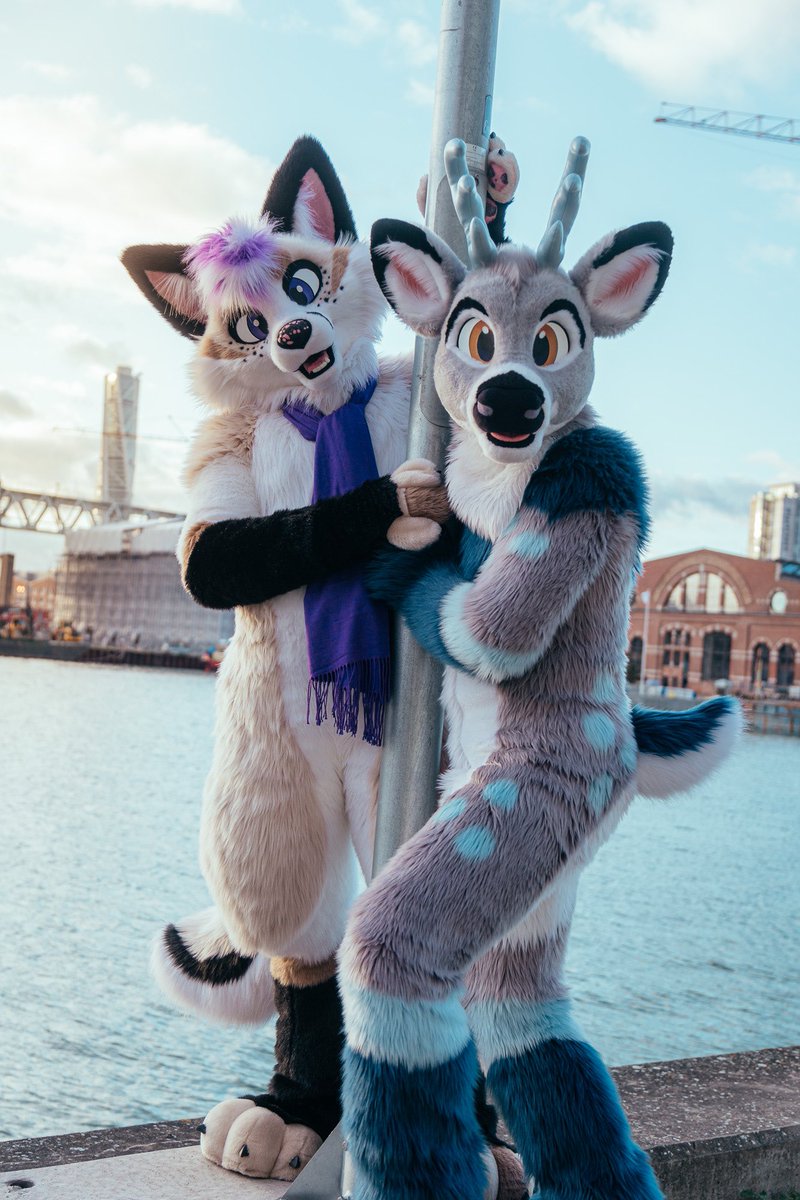 🦊 🦌 
#NFC2023 
@HanFuuff @CarlitoDurr