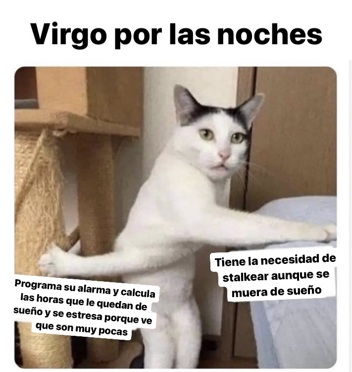 virgo_hn's tweet photo. Sí somos 🤣🤣🤣 #virgo #horoscoponegro https://t.co/mVE0ZtgrA3
