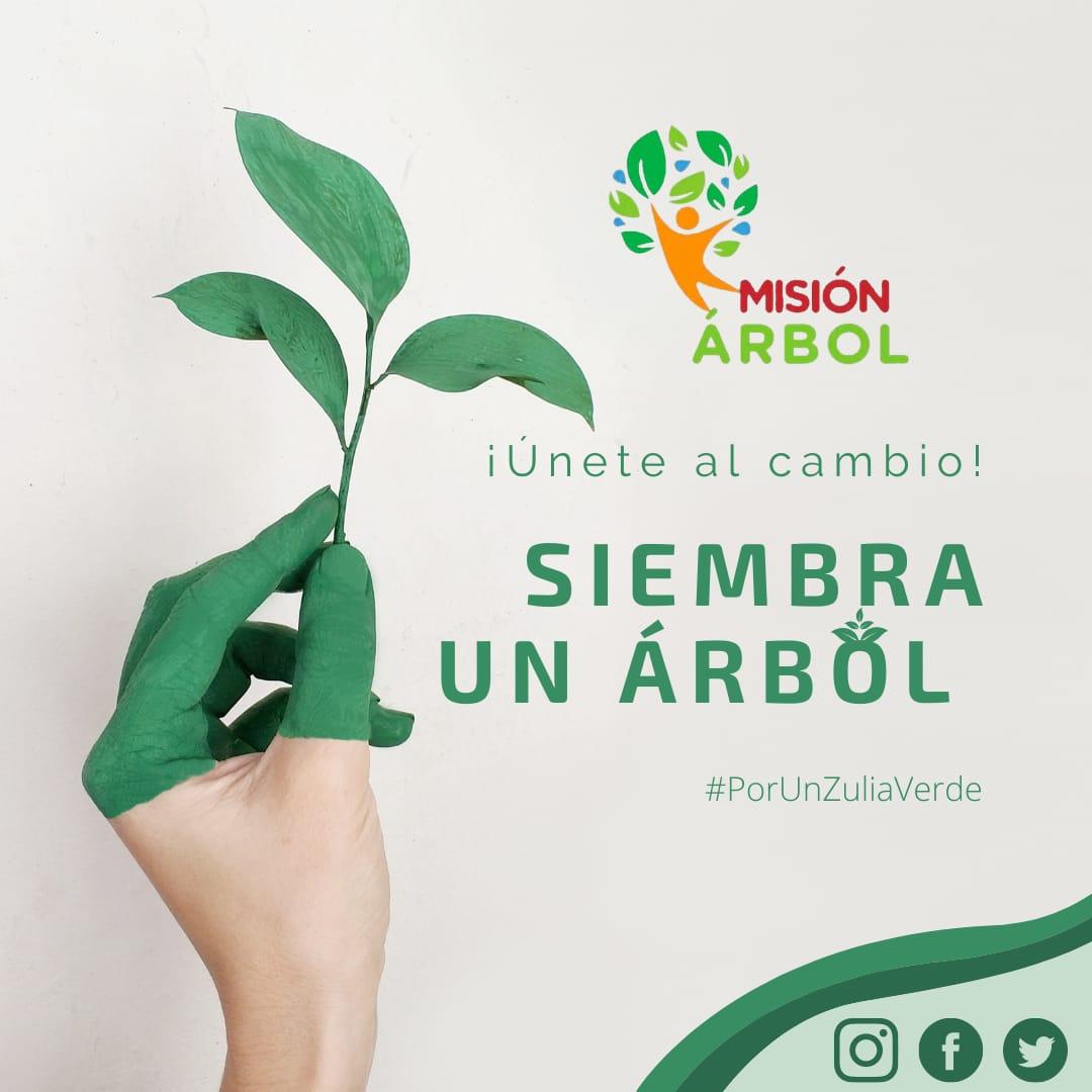 CAPVIEIRAG's tweet photo. #29Mar ||📌 Nuestro aire, agua y alimentos dependen de la biodiversidad. Cuidar ese patrimonio es una tarea común y más urgente que nunca. 5to Objetivo del "Plan de la Patria" en Marcha. 🌱
#EntregadeKits
#PorUnZuliaVerde
@mineczulia
#CorruptosTrasLasRejas
@GNB_Pueblo https://t.co/TZz4ae9i31