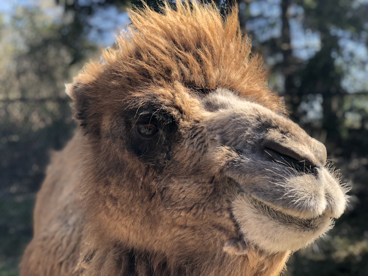 The Toronto Zoo on Twitter "POV When you check yourself in the mirror