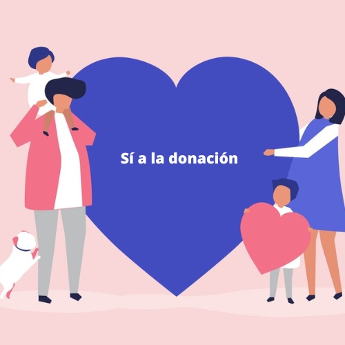 fehigado's tweet photo. #dianacionaldeltrasplante
¿Sabias que...?
8 de cada 10 familias dicen sí a la donación. #DNT23
(fuente: ONT) https://t.co/f27EQSEKSE