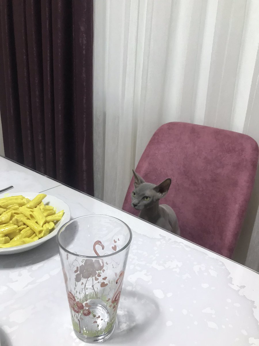 orucu biz tutuyoruz bizden önce masaya oturuyor