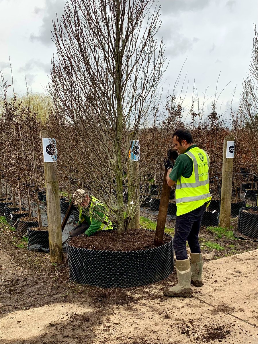 HortAcademy would like to say a big thank you to Steve McCurdy & team @MajesticTrees for hosting a fantastic CPD session for @BWaftercare & staff.