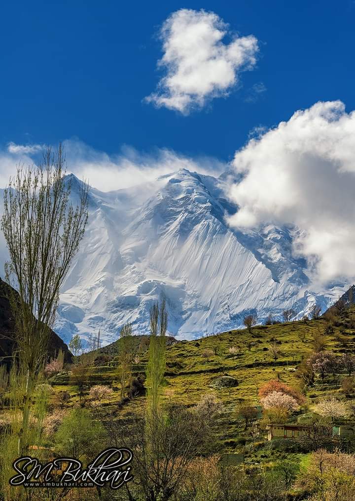 khushalltourism's tweet photo. Rakaposhi gilgit baltistan
#treeding #trendingreels #travelblogger #instagramreels #viral #viralvideos #viralpost
#gilgitbaltistan #skardu #khushalltourism #khushallgems #dubanigems #khushallart # #khushallmedicen #bagrotevalley #Karakarom #mountains #hiking #camping #nature https://t.co/aKWpoeAJy1