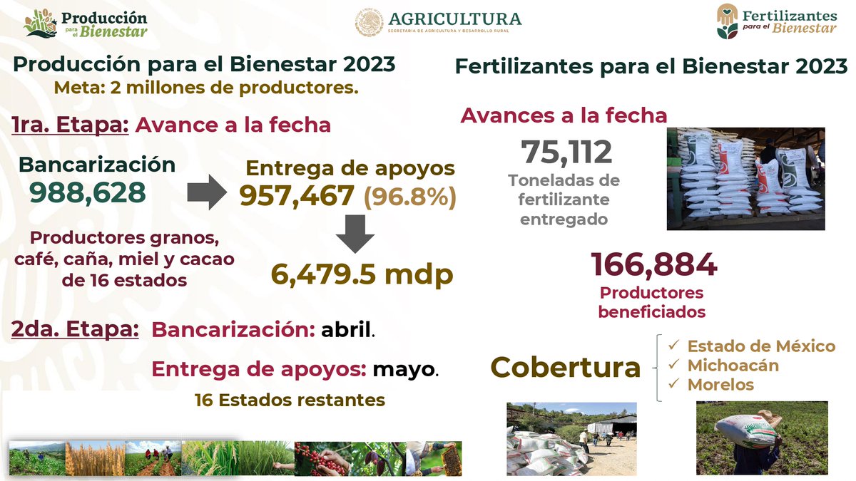 En la #mananera del Presidente <a href="/lopezobrador_/">Andrés Manuel</a> informé que de 2 millones de beneficiarios de #ProducciónParaElBienestar, hemos bancarizado con <a href="/bbienestarmx/">Banco del Bienestar</a> a 957,467 de 16 entidades; cuentan ya con sus apoyos Antes de cerrar el 1er semestre los restantes👩‍🌾👨‍🌾 tendrán sus apoyos🧵