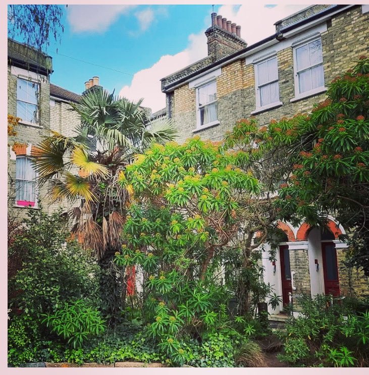 KenningtonRUN's tweet photo. Today over on the Runoff we pay a visit to that tucked away subtropical oasis Bonnington Sq. and tell you about it’s maverick past. https://t.co/SXGAJ7Sqs2 https://t.co/mO2mmPAacC