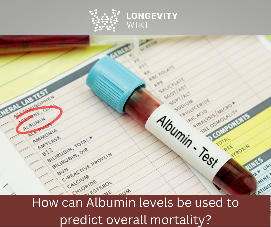 Serum albumin is an important biomarker of #aging, according to deep-learner predictors of biological age. A study performed by an insurance company has shown that levels of serum #albumin might be predictive of overall mortality. Learn more at: en.longevitywiki.org/wiki/Albumin #LONGEVITY