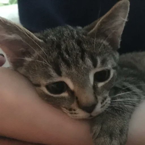 square0112's tweet image. in connection with the recent announcements of this dude @elonmusk, and the upcoming platform changes, I don't know how my art will progress here. Any thoughts guys? (if anyone even reads this..)