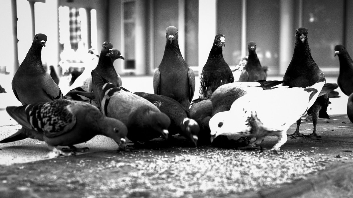 AbdullahDee's tweet photo. Today I  tried out the Hi-contrast B&amp;W filter on my Ricohgriiix camera. The results are dramatic!   #blackandwhitephotography #Ricohgriiix #photographylove 📸 https://t.co/IsKBxLhqhY