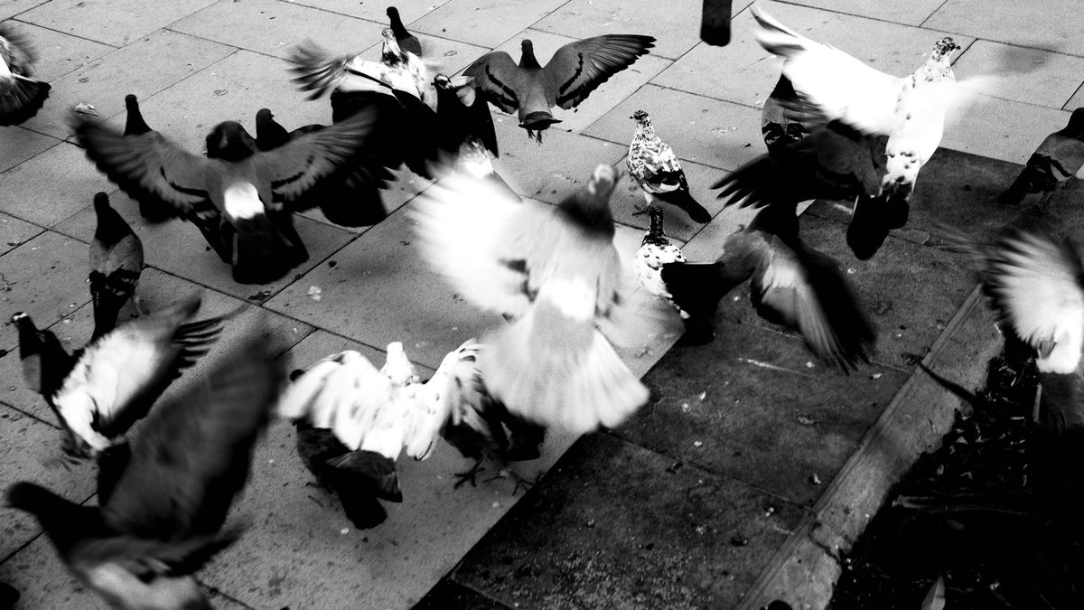AbdullahDee's tweet photo. Today I  tried out the Hi-contrast B&amp;W filter on my Ricohgriiix camera. The results are dramatic!   #blackandwhitephotography #Ricohgriiix #photographylove 📸 https://t.co/IsKBxLhqhY