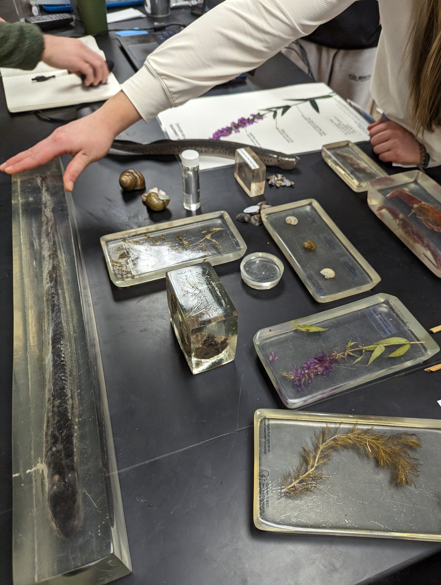 NathanielEBlood's tweet photo. Chris Acy of @WinnWaterways came in to speak and help @NeenahSchools Environmental Issues students wrap up a unit on invasive species. He discussed current threats, solutions, and even career options, and rounded things out by bringing some samples. Thanks Chris! https://t.co/LEskgSsa4Q