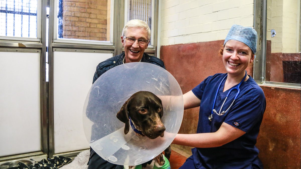 Battersea tweet media