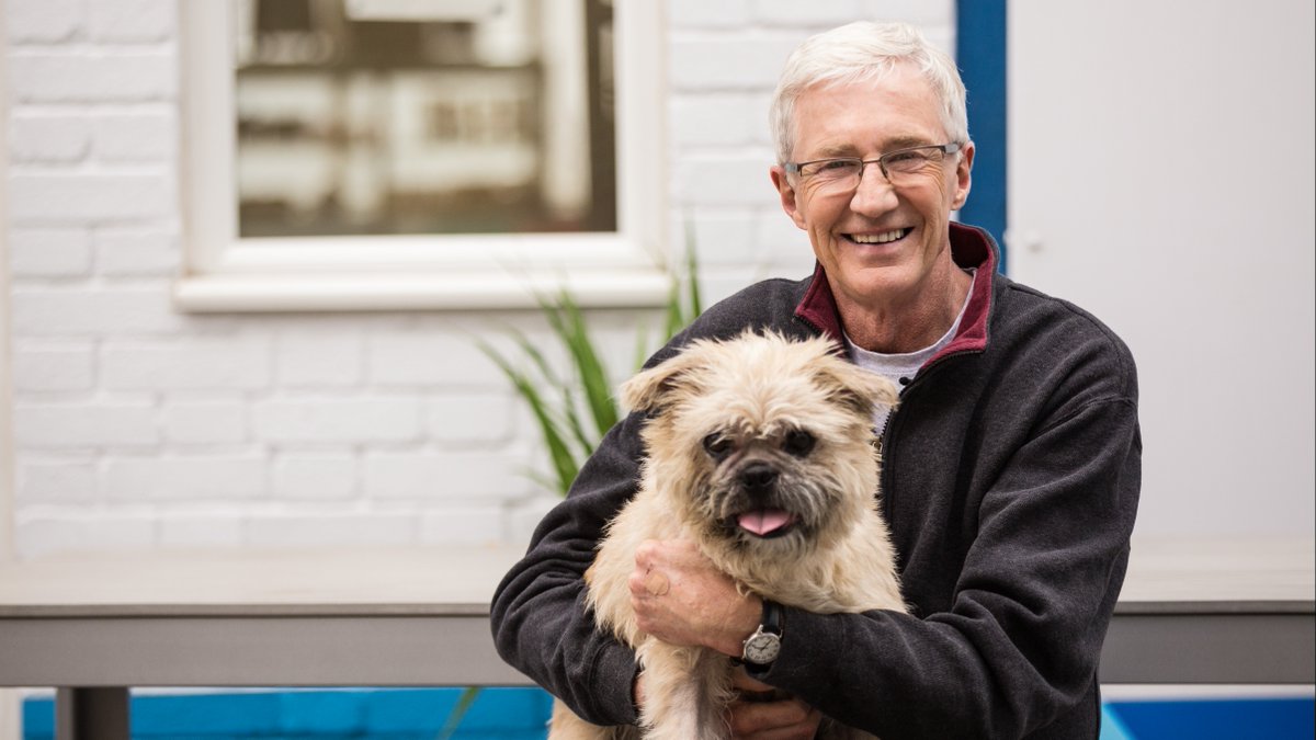 Battersea tweet media