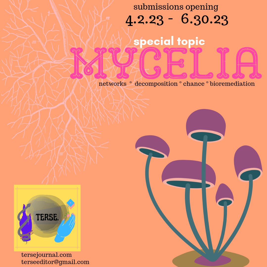 Շєгรє. ן๏ยгภคɭ tweet media