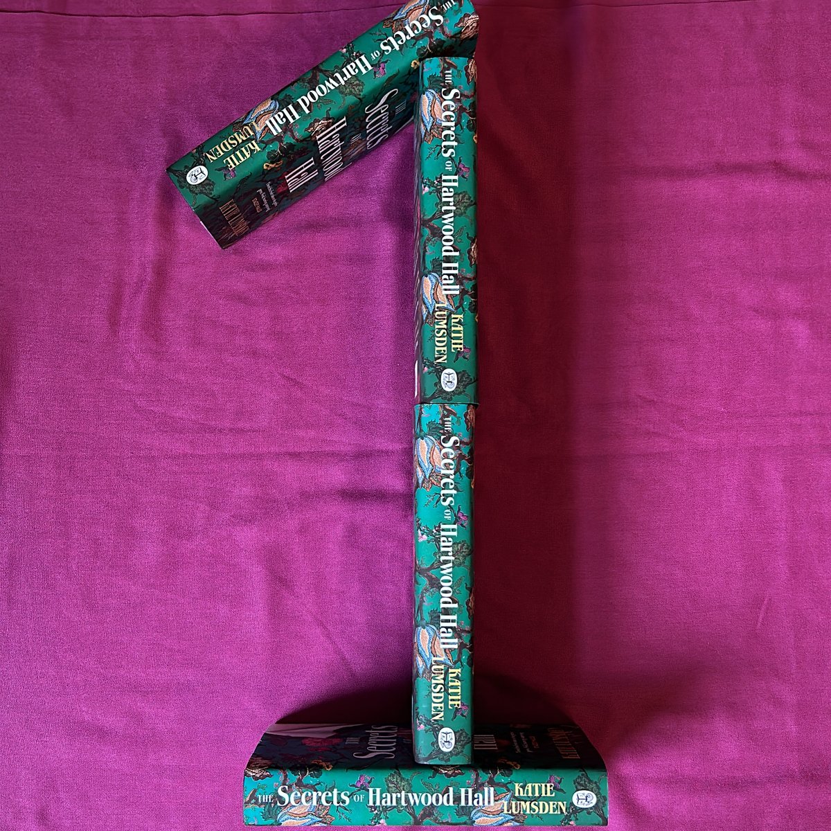 katiejlumsden's tweet image. I can&apos;t believe my debut novel is actually out tomorrow. Just one day left 🎉