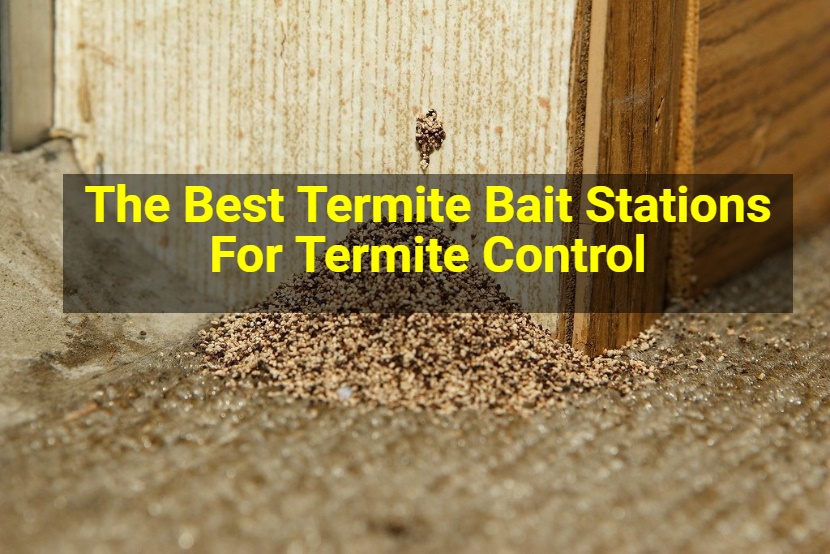Pestsguide_com's tweet photo. The Best Termite Bait Stations For Termite Control
https://t.co/wKdEzVCenq
#termite #termitebarriers #pestsguidecom #pestcontrol #homeinspection #pest #termites #termitefumigation #pestfree #insects #insects_of_our_world https://t.co/r9zyUF8EEm