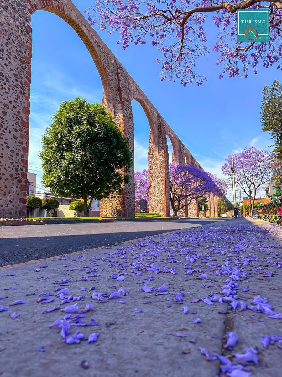 ¡Así de bonita la ciudad de Querétaro!🥰🇲🇽