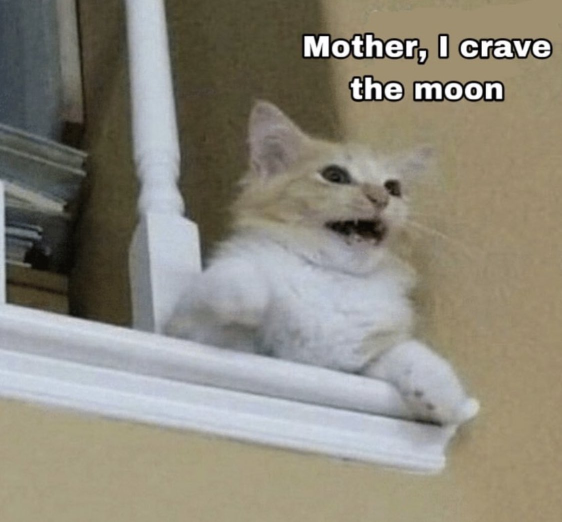 earthdombaby's tweet photo. THE MOON IS IN CANCER https://t.co/eUXj98J4qt
