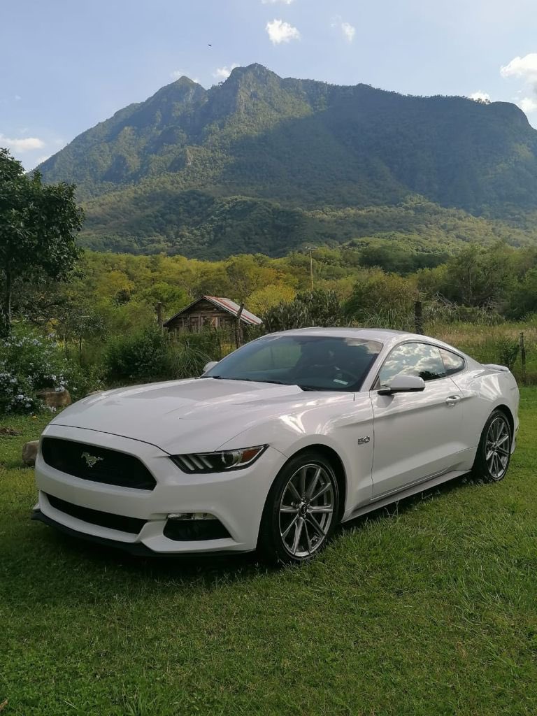 ederarredondo's tweet photo. @FordMustang My first car 2015’ GT Coupe https://t.co/1x5BtreNSW