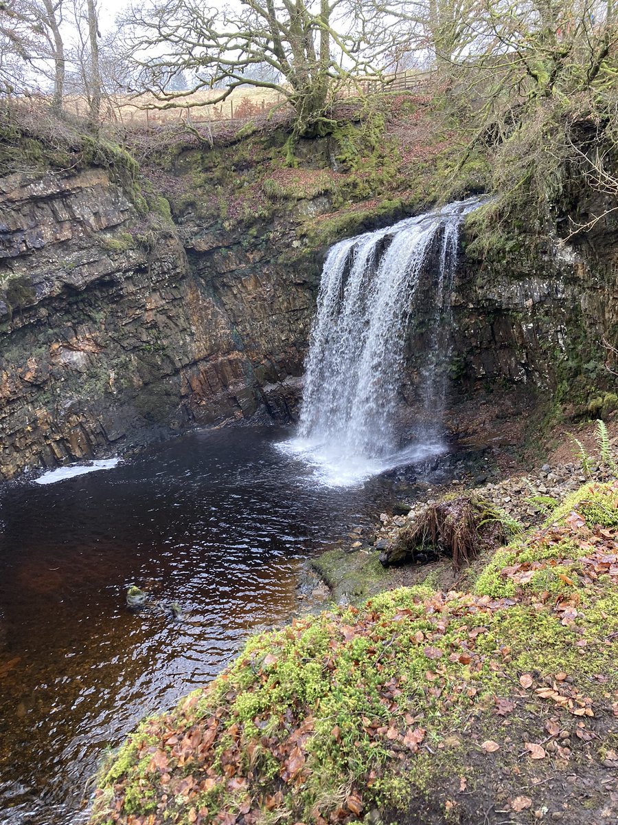 Miss Calder tweet media