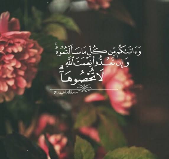 Maged (@imaged_) on Twitter photo 