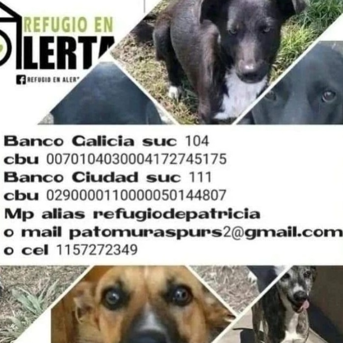 refugioenalerta tweet media