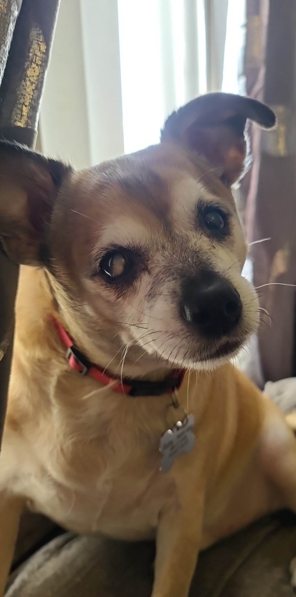 Turf Paradise on Twitter: