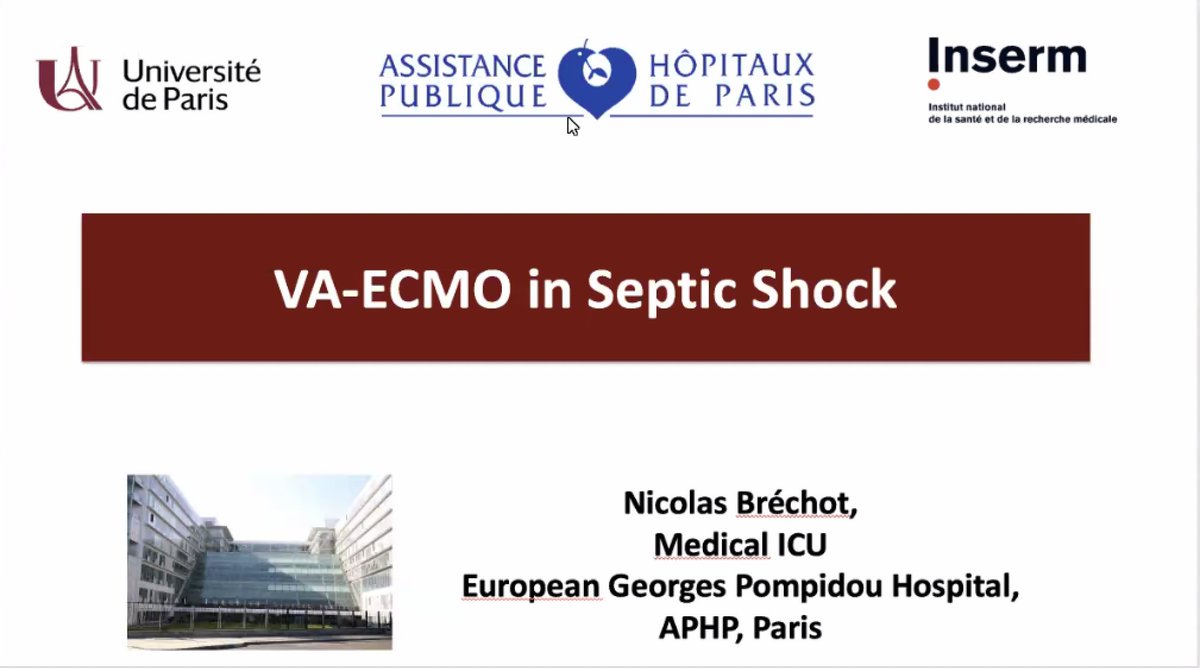 EuroELSO tweet media