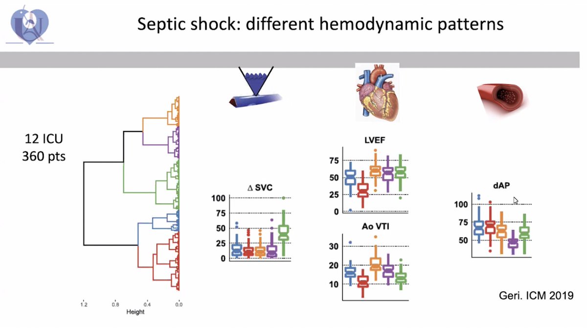 EuroELSO tweet media