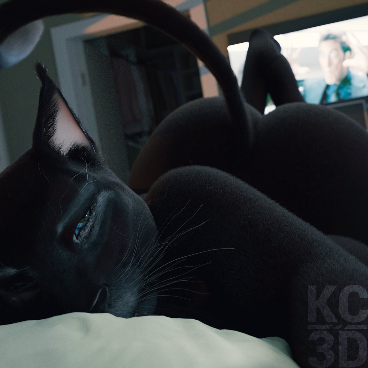 KC3D tweet media