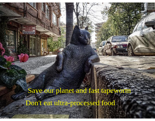 Let’s help ourselves and hairy tapeworm from within your job, please donate for more trees paypal.me/urbietas & ReTweet, #carbonprice, thank you
