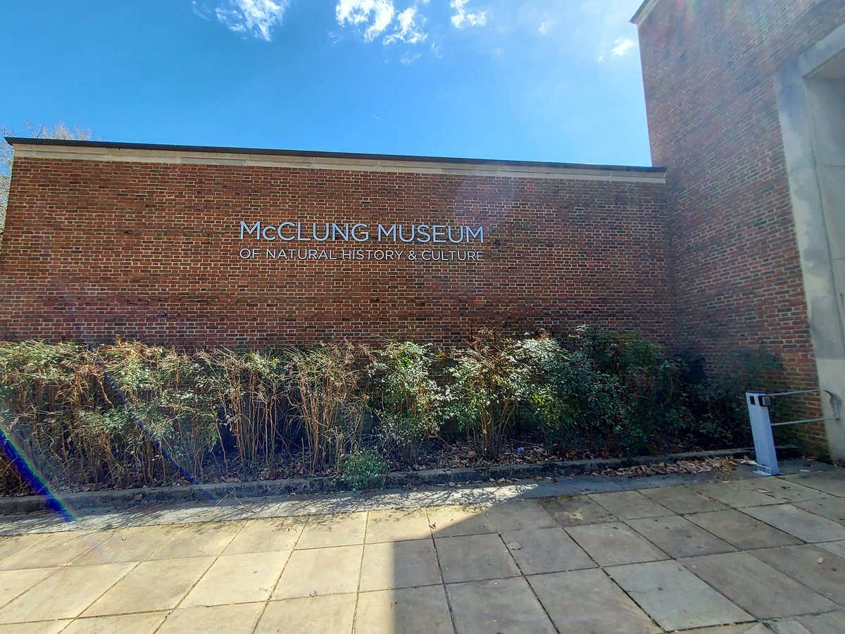 grooms_kristina's tweet image. #McClung