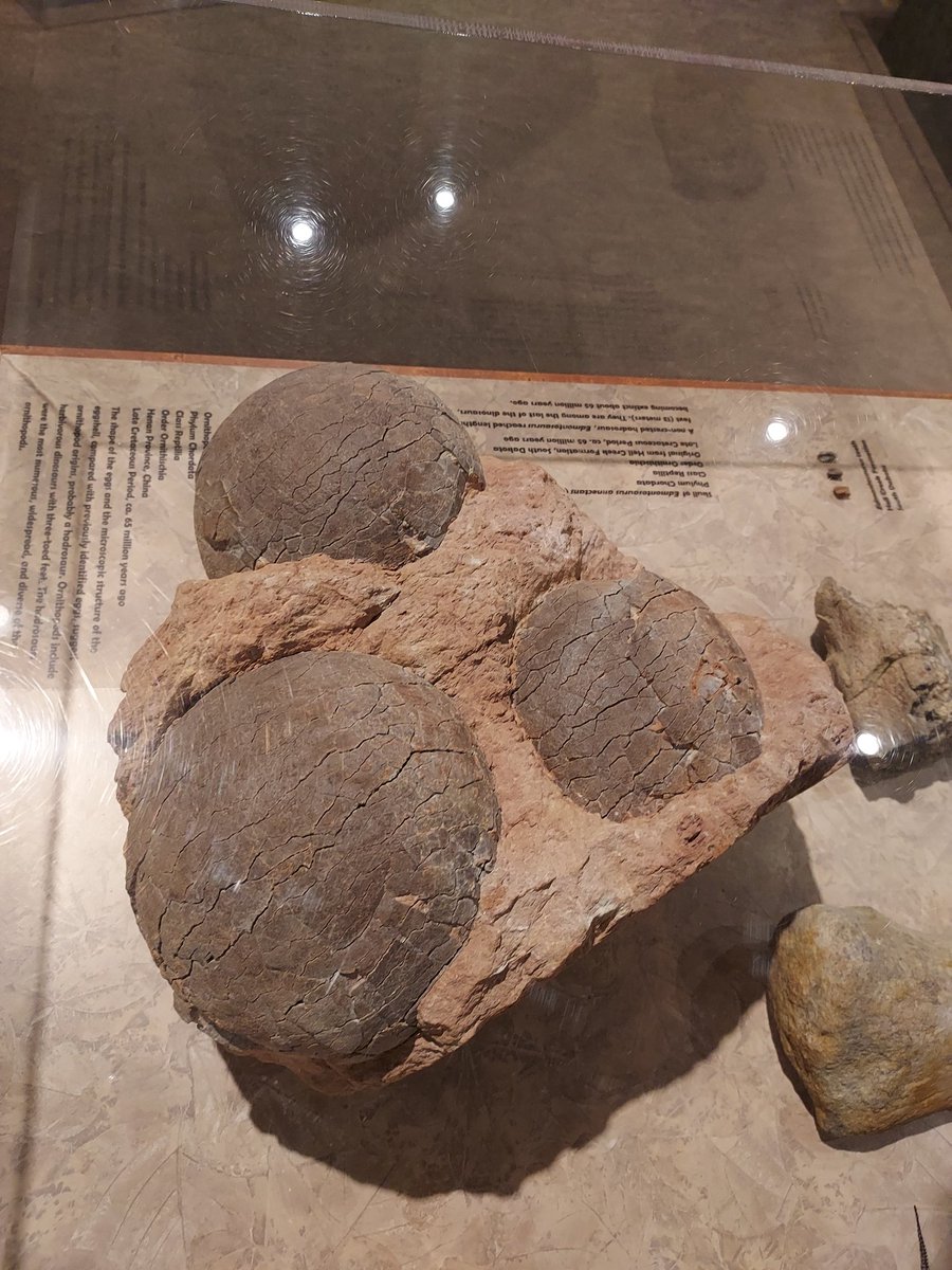 grooms_kristina's tweet image. #McClung