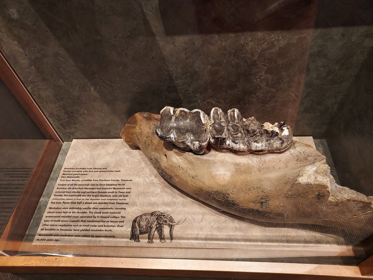 grooms_kristina's tweet image. #McClung