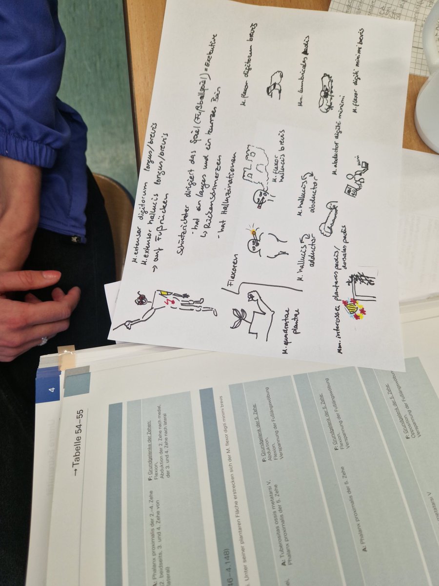 cikulow's tweet photo. Day 3 . Turning words into pictures mind palaces, helps long-term memory #helpswithanatomy Massive thanks to @Meditrickser  and @HappyHippocampu  for their fab zoom talks .  Next time for those who don't speak German #sketchy #picmonics  @PLNU_Anatomy @AnatomyOrg @UKL_Leipzig https://t.co/wIcQR7RHeH