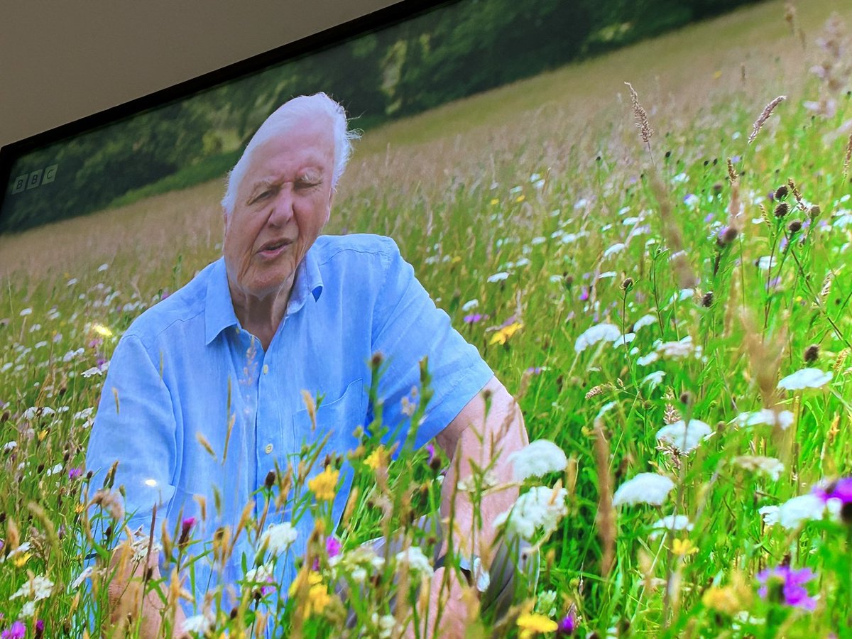 James Rebanks tweet media