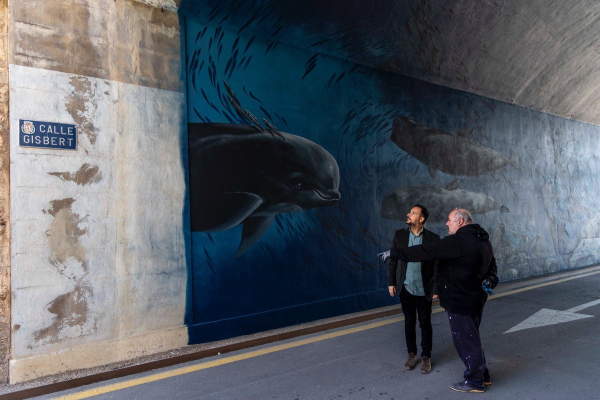 AytoCartagenaES's tweet photo. 📢Se abre este jueves al tráfico la calle Gisbert tras acabar Kraser la primera fase de su mural. 

✅Después de Semana Santa seguirá la segunda fase de esta obra, en la escalera de acceso a la Muralla del Mar. 

https://t.co/KKZFUwKc3n https://t.co/zX9Vt5Rmlj