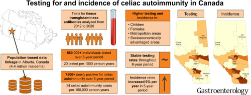 April Editor's Essential Reading: Incidence of #celiac autoimmunity is high and increasing, despite stable testing rates ➡️ <a href="/gilkaplan/">Gil Kaplan MD MPH</a> ow.ly/40h150Nqi7i