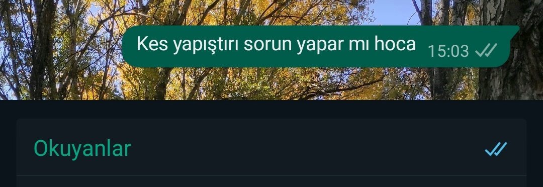 Manga: Cevapsız sorular