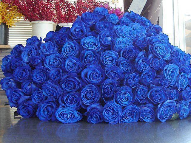  Happy birthday Debbie,have a great celebratory Wednesday,xx.57 Blue roses. 