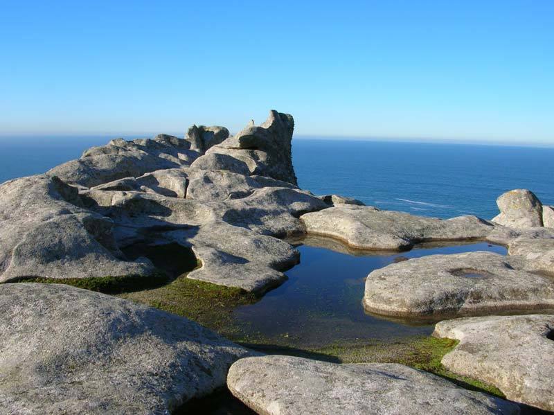 Las pías, alvéolos y taffonis se sitúan en las zonas altas de Cíes. Estos espectaculares patrones de micromodelado son el resultado de la acción química y biológica en los granitos, y son acentuados por la meteorización física.

#islascies #cies #galicia #turismodegalicia