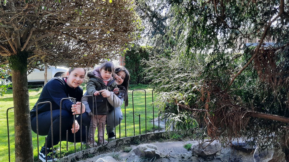 DevaPrueba's tweet photo. No pasa un día sin que Daniela y Llara estén pendientes de su primina. La cuidan, miman y enseñan, compañeras de juegos adorables 🥰 

#amordeprimas #primavera #Down #SindromeDeDown #T21 #NuestroAviles #visitaviles #avileseando https://t.co/lPe1V1f5Wf