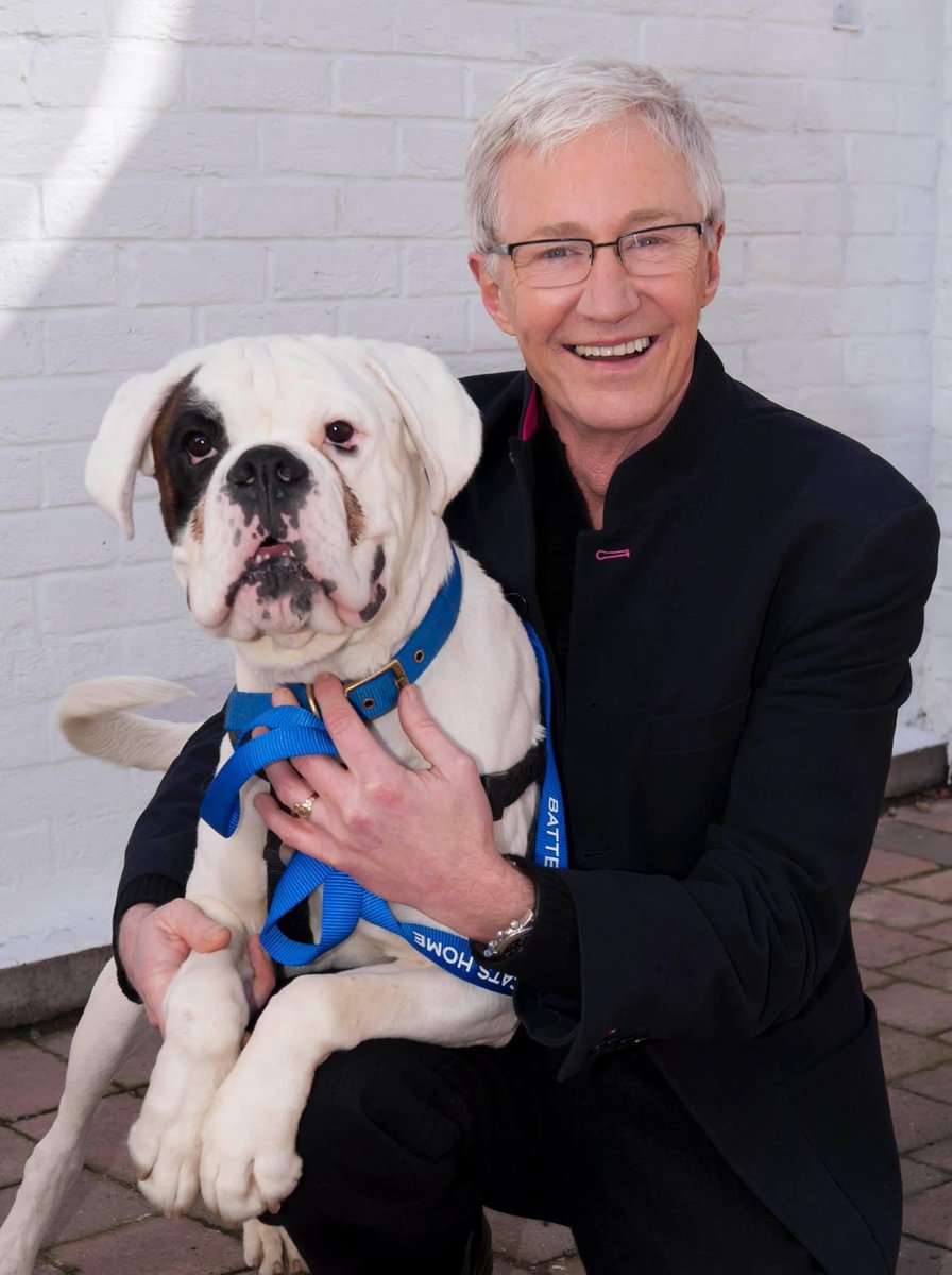 Dogs4Rescue's tweet photo. Heartbreaking to hear of the passing of #PaulOGrady 💔 He championed the rescue dogs, the oldies and the underdogs and made millions fall in love with them. He bought their quirky personalities to life with his humorous narrative &amp; encouraged everyone to adopt not shop 🐶 https://t.co/FeY6iWyYki