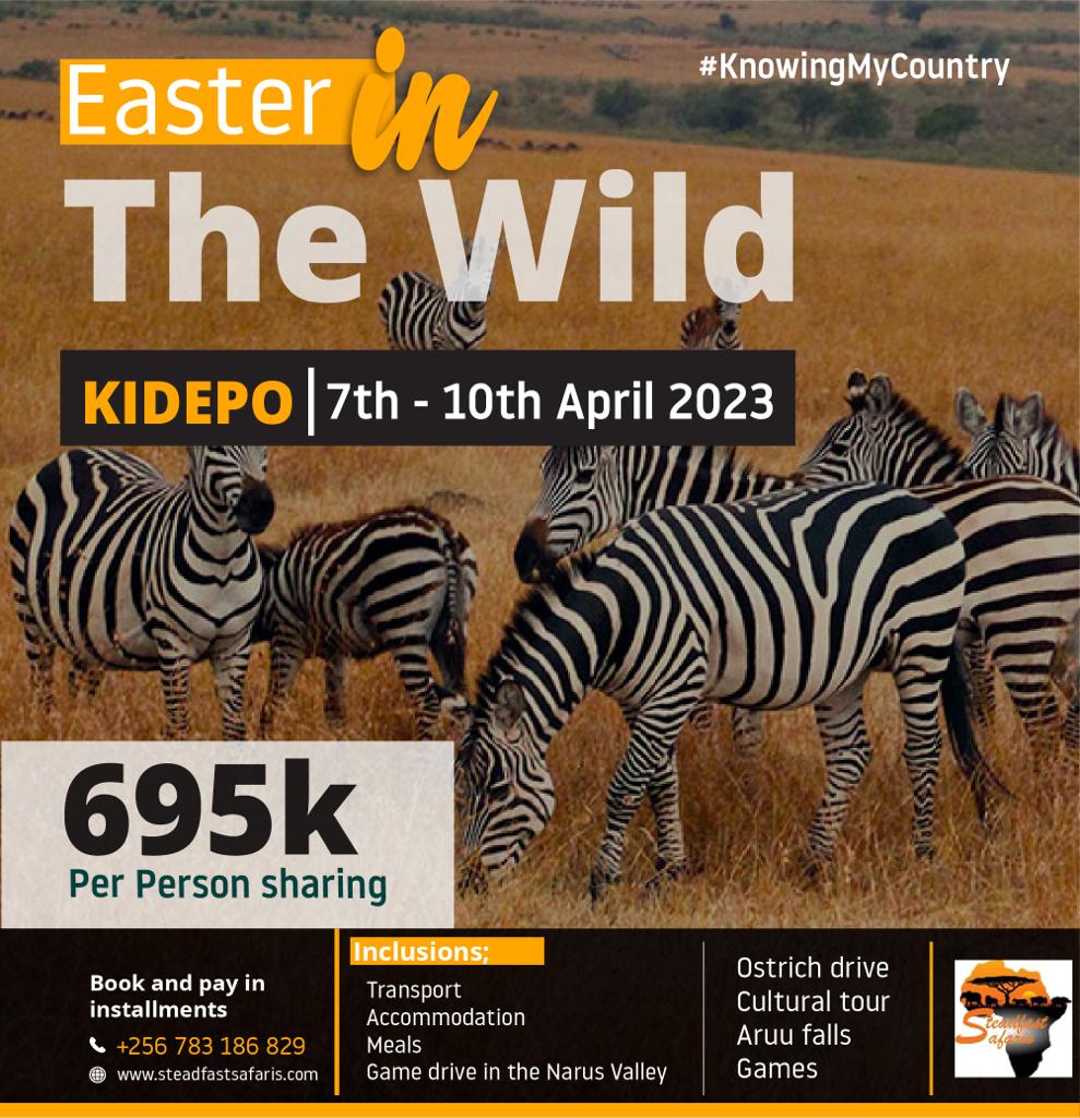 ajenajafar's tweet photo. Are you looking to go on an authentic African Safari in Uganda this #Easter holiday? You are in luck. @SteadfastSafar2 has this amazing #EasterintheWild offer at UGX 695,000 per person sharing. Book your slot today.
#ExploreUganda https://t.co/nCrsSXlo5N